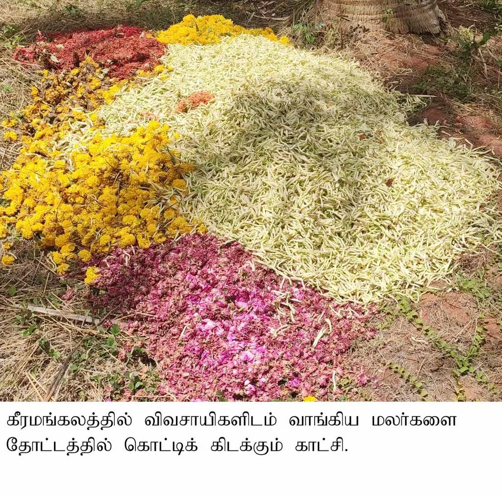Flowers that go to the trash ... Merchants who stop buying ... Farmers in tears !!